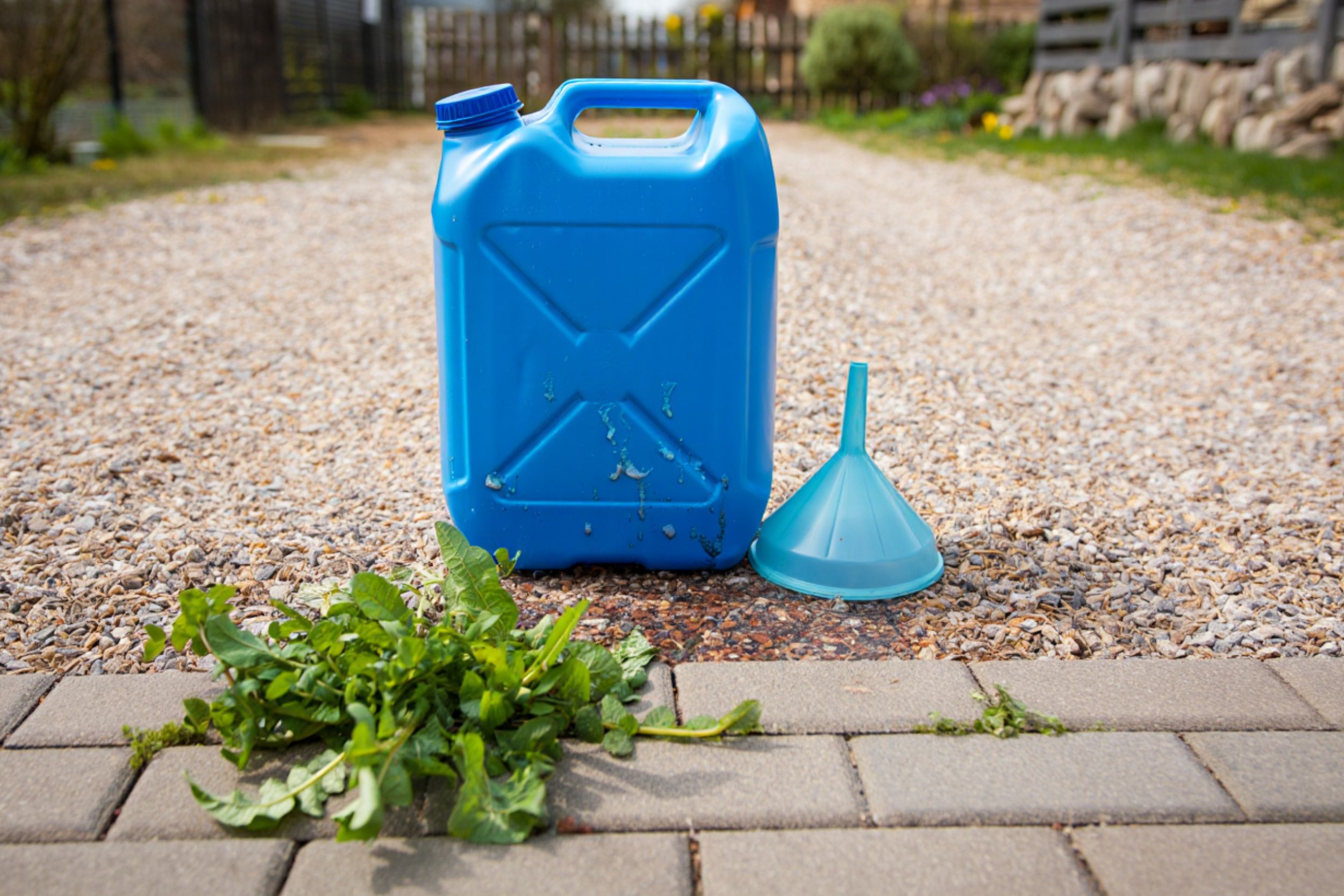 Lire la suite à propos de l’article L’adblue peut-il vraiment servir de désherbant au jardin ?